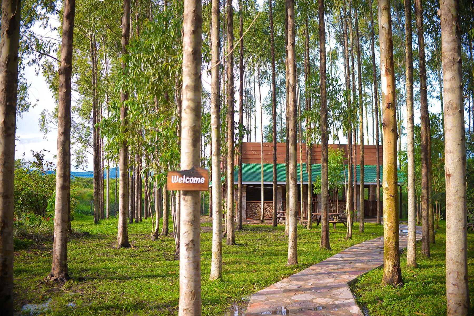Kabalega Resort - Masindi Buitenkant foto