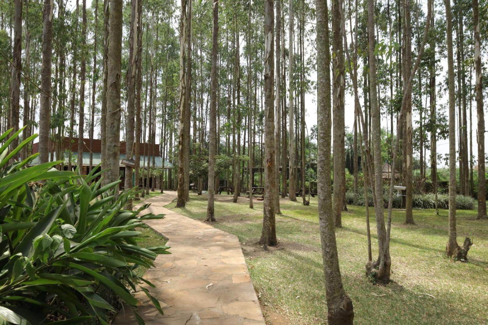 Kabalega Resort - Masindi Buitenkant foto